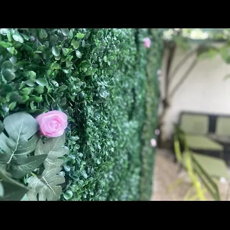 Appartement Lyn'spa Kingersheim